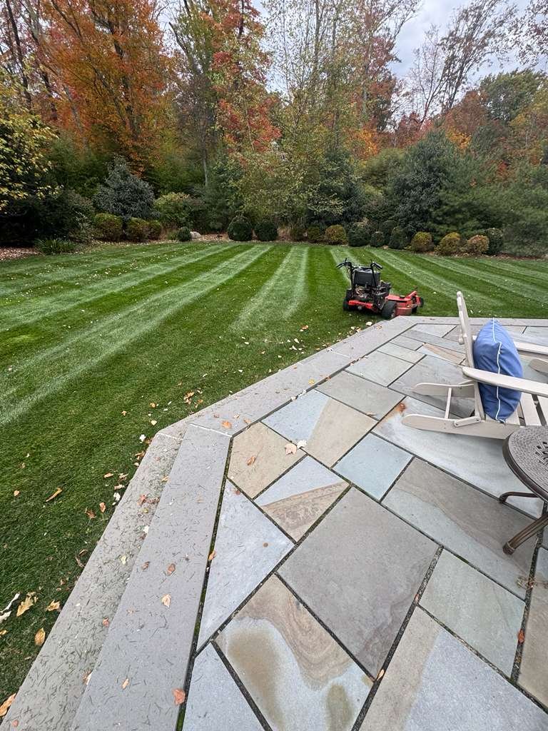 JP Landscaping Work #23