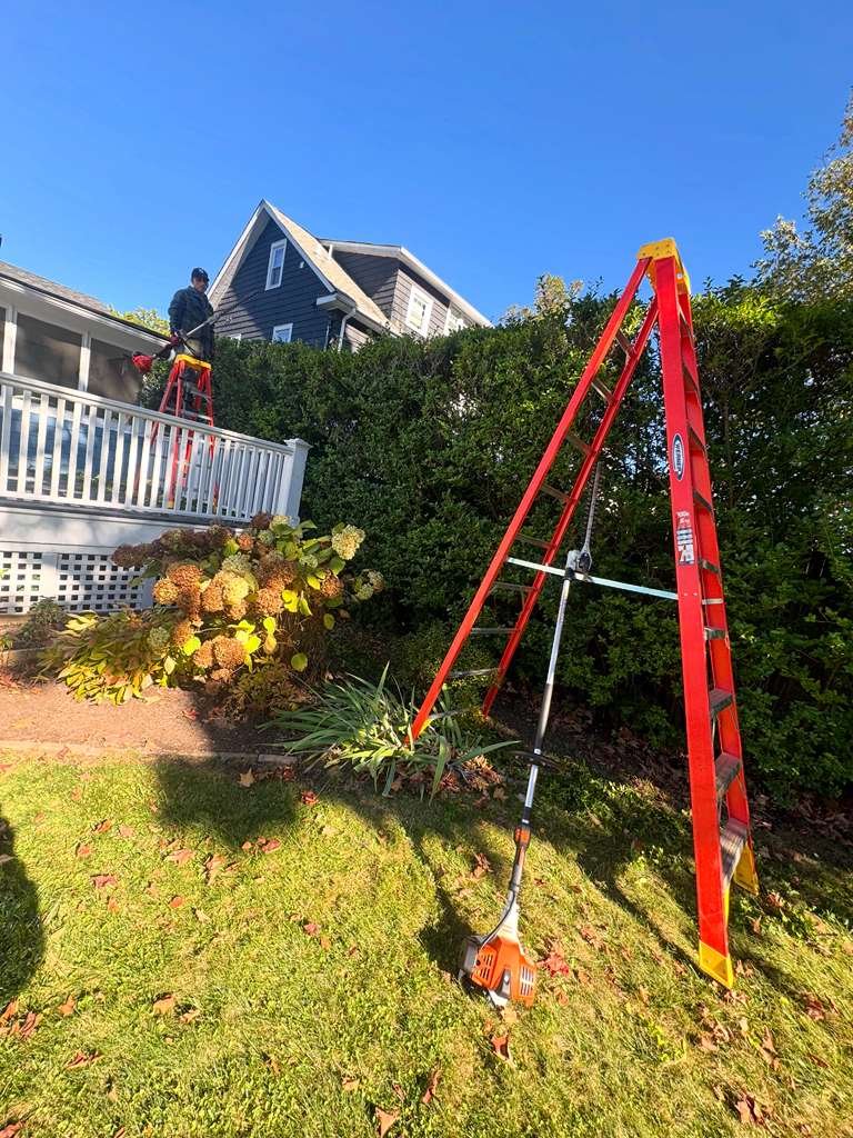 JP Landscaping Work #24