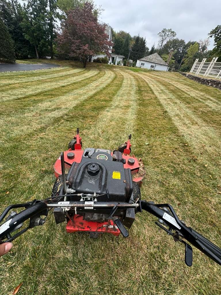 JP Landscaping Work #25