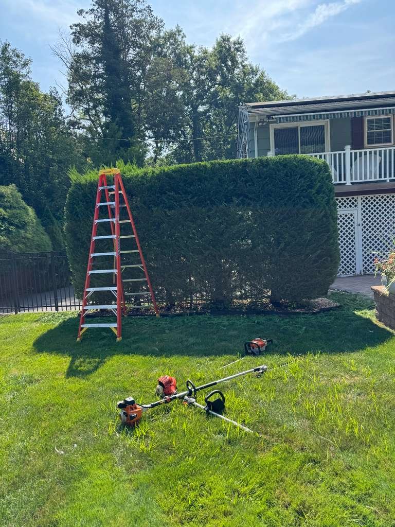 JP Landscaping Work #28