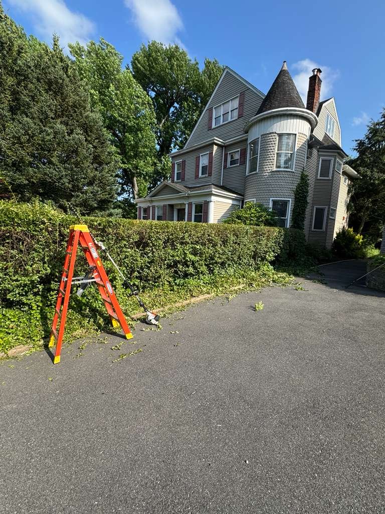 JP Landscaping Work #31