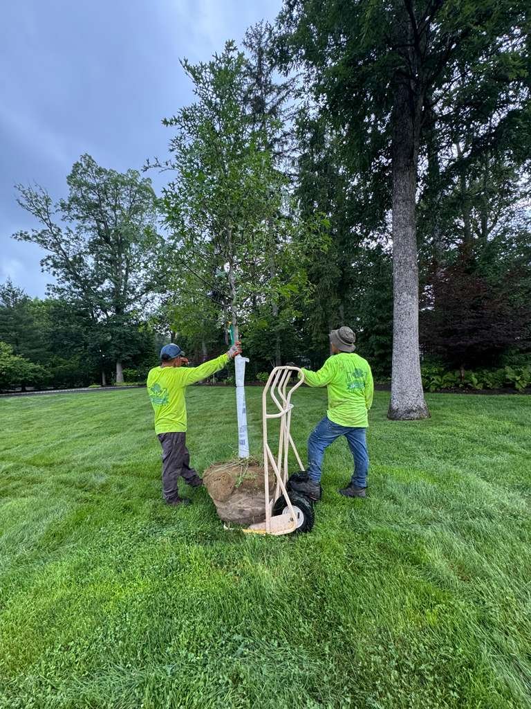 JP Landscaping Work #32