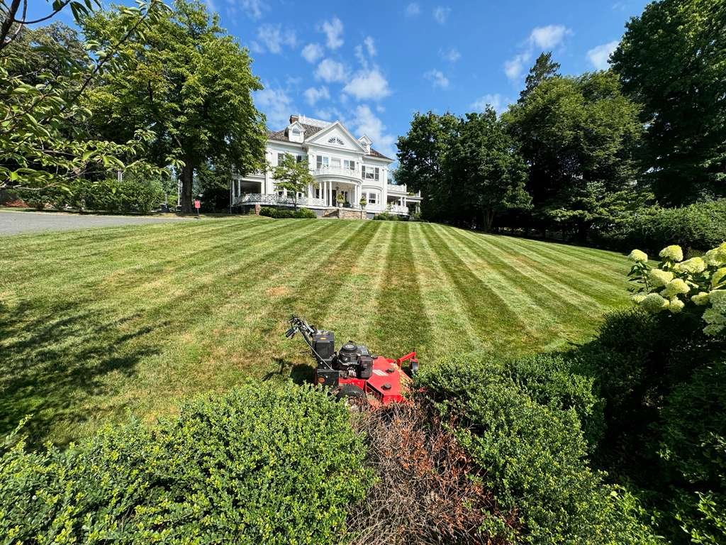 JP Landscaping Work #40