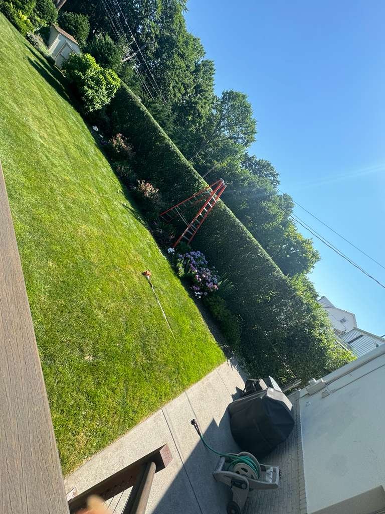 JP Landscaping Work #41