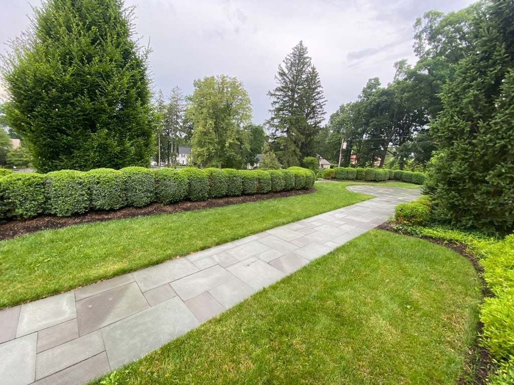 JP Landscaping Work #8